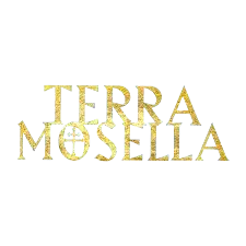 Logo - Terra Mosella - Événement - Collaborateur - Moov'Numeric 